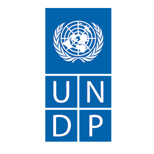 UNDP logo.